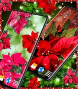 Poinsettia 4K Christmas Flower screenshot 2