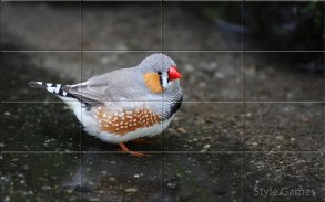 Nizza Birds Puzzle screenshot 5