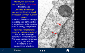 Basic Tissues screenshot 1