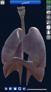 Anatomy 3D screenshot 8