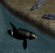 Orca Whale Simulator 3D screenshot 4