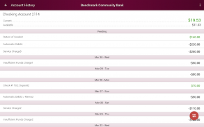 Benchmark Community Bank screenshot 8