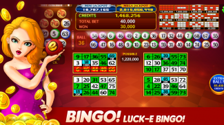 Luck'e Bingo : Video Bingo screenshot 13