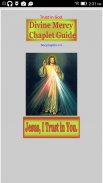 Divine Mercy Chaplet Guide screenshot 2