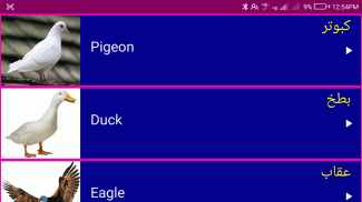 Learn English From Urdu screenshot 4