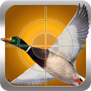 Duck Hunting Anrufe Icon