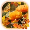 Flowers Autumn HD live wallpaper