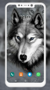 Wolf Wallpaper screenshot 6