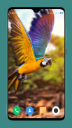 Parrot Wallpapers 4K screenshot 14