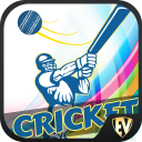 Cricket Dictionary - Baixar APK para Android | Aptoide