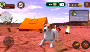 Jack Russell Terrier Simulator screenshot 23