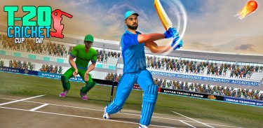 World Cricket Match Game screenshot 2