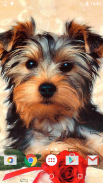 Cute Puppies Live Wallpaper screenshot 6