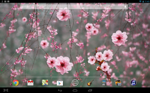 Cherry Blossom LWP screenshot 2