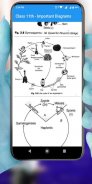 11th/12th Biology Diagrams & Much More screenshot 3