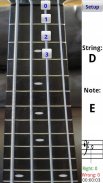 Bass Fretboard Addict FREE screenshot 0