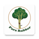 Para Rubber Icon