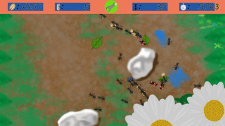 The Ant Colony screenshot 4