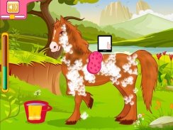 Paarden Verzorgings Salon screenshot 4