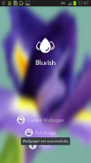 Blurish - Blur Wallpapers Free screenshot 3