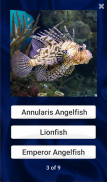 Fish Quiz screenshot 5