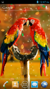 Birds 3D Live Wallpaper screenshot 2