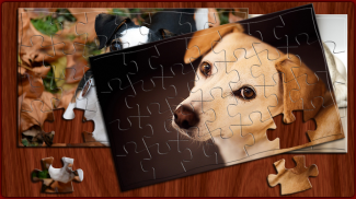 Puzzle Rompecabezas Dogs (Offline) screenshot 2