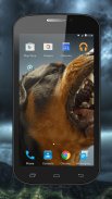 Fighting Dogs Live Wallpaper screenshot 0