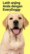 EveryDoggy: Pelatihan Anjing screenshot 4