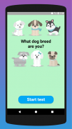 What dog breed are you? Test screenshot 0