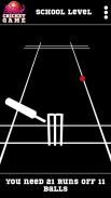 Blind Cricket screenshot 3