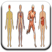 All Body Systems screenshot 2