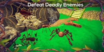 Spider Insect Game - insect and simulation 3D game screenshot 2