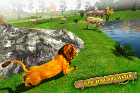 Angry Lion Family Simulator: Animal Adventure Game screenshot 10