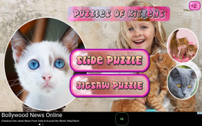 Puzzles of Kittens Free screenshot 7