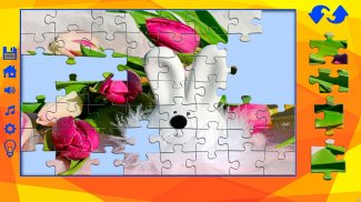 Super les puzzles screenshot 7