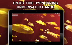 Jellyfishes 3D live wallpaper screenshot 3