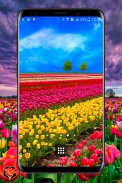 Flower Fields Live Wallpaper screenshot 0