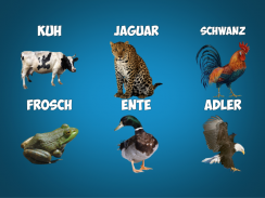 Animal Sounds Tippen Sie auf Tippen screenshot 2