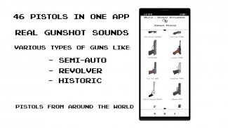 ปืน - ยิงและโหลด screenshot 0