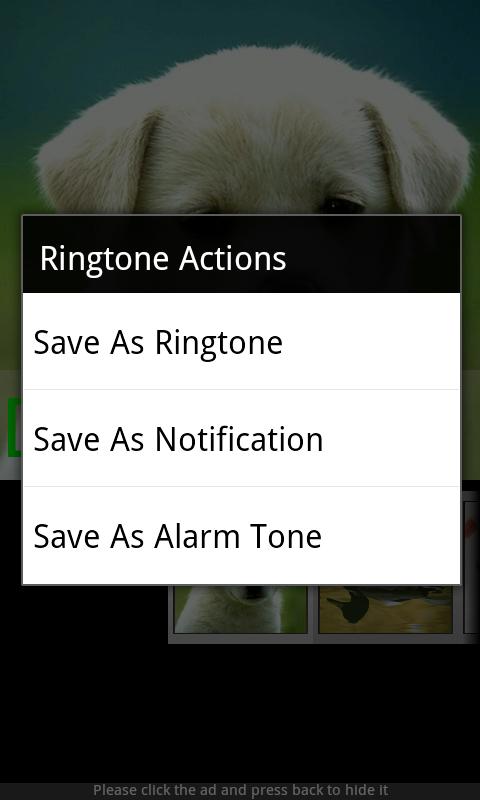Animal Sounds & Ringtones - APK Download for Android | Aptoide