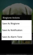 Animal Sounds & Ringtones screenshot 4