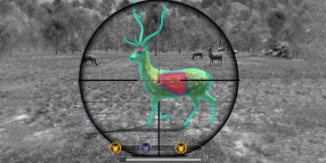 Wild Animal Shooting Games screenshot 2