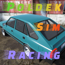 Poldek Sim Racing