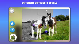 Horse and Pony jigsaw puzzles screenshot 3