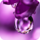 Purple Wallpapers