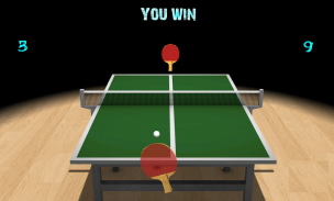 Table Tennis Simulator screenshot 2