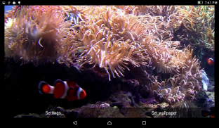 Aquarium Live Wallpaper screenshot 4