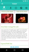 Pregnancy Week By Week screenshot 9