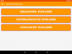 Useful English Phrases & Expressions screenshot 2